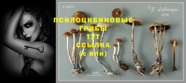 прущий лед Нязепетровск