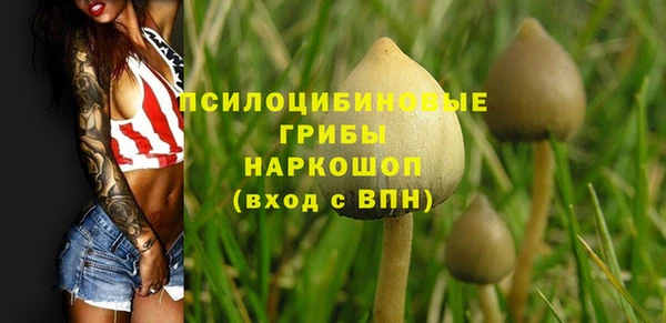стафф Алексеевка