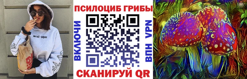Псилоцибиновые грибы Psilocybe  Кондопога 