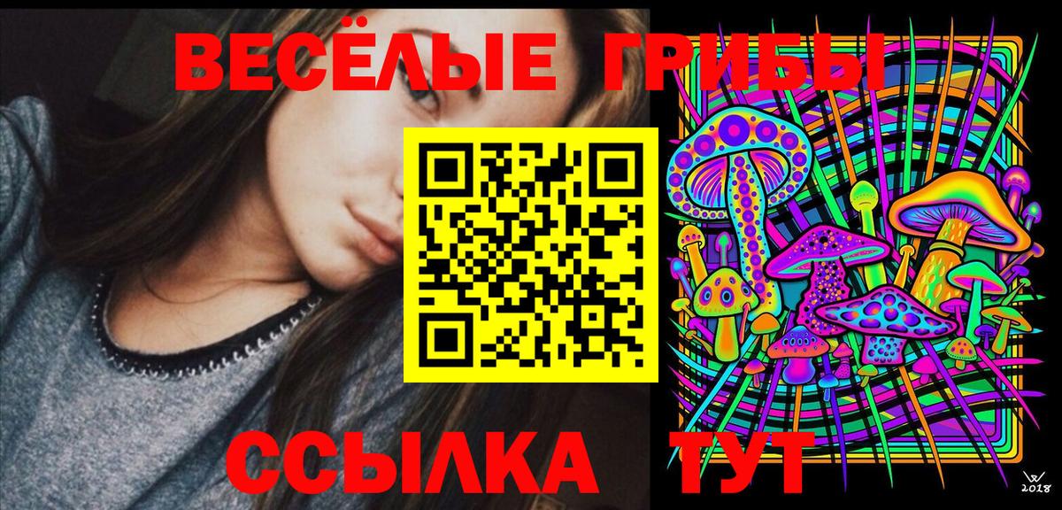 Псилоцибиновые грибы ЛСД  Псилоцибиновые грибы мухоморы  Кондопога  купить наркоту  Вход с VPN 