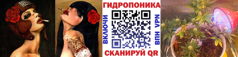 купить закладку Кондопога Конопля сатива